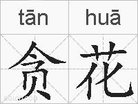 贪花的拼音