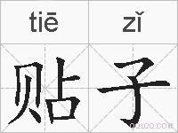 贴子的拼音