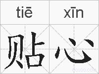 贴心的拼音