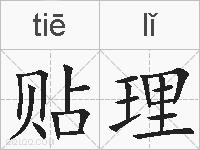 贴理的拼音