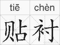 贴衬的拼音