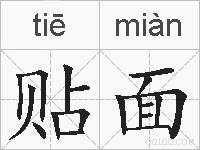 贴面的拼音