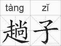 趟子的拼音