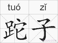 跎子的拼音