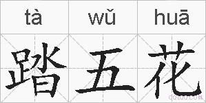 踏五花的拼音
