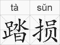 踏损的拼音