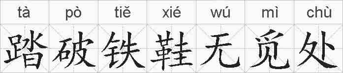 踏破铁鞋无觅处的拼音