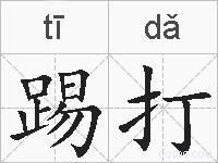 踢打的拼音