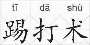踢打术的拼音
