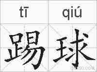 踢球的拼音