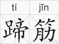 蹄筋的拼音