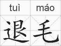 退毛的拼音