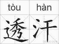透汗的拼音