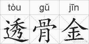 透骨金的拼音