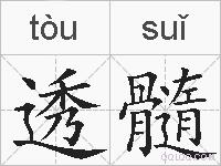 透髓的拼音