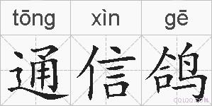 通信鸽的拼音