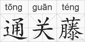 通关藤的拼音