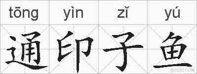 通印子鱼的拼音