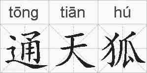 通天狐的拼音