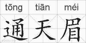 通天眉的拼音