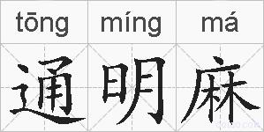 通明麻的拼音
