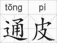 通皮的拼音