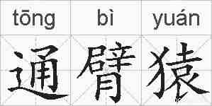 通臂猿的拼音