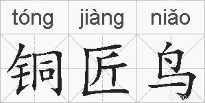 铜匠鸟的拼音