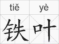 铁叶的拼音