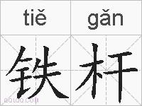 铁杆的拼音