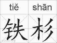 铁杉的拼音
