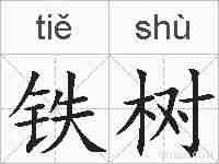铁树的拼音