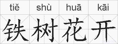 铁树花开的拼音
