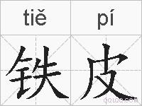 铁皮的拼音