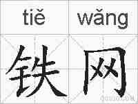 铁网的拼音