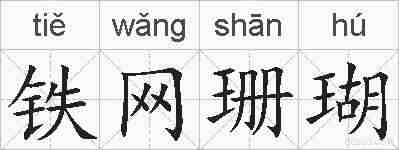 铁网珊瑚的拼音