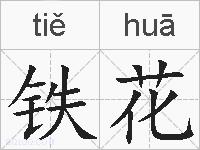 铁花的拼音