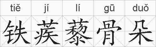 铁蒺藜骨朵的拼音