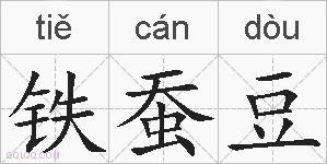 铁蚕豆的拼音