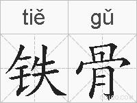 铁骨的拼音