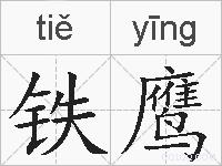铁鹰的拼音