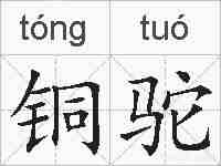 铜驼的拼音