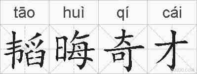 韬晦奇才的拼音