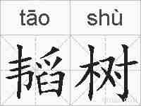 韬树的拼音