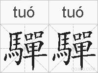 驒驒的拼音