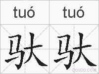 驮驮的拼音