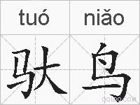 驮鸟的拼音
