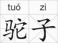 驼子的拼音