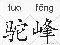 驼峰的拼音