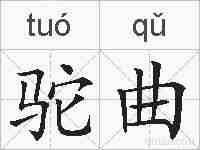驼曲的拼音